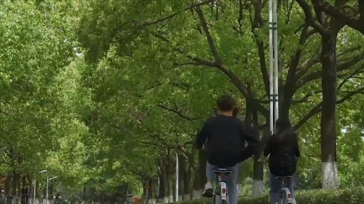 李鑫高考状元,清华糖友李鑫