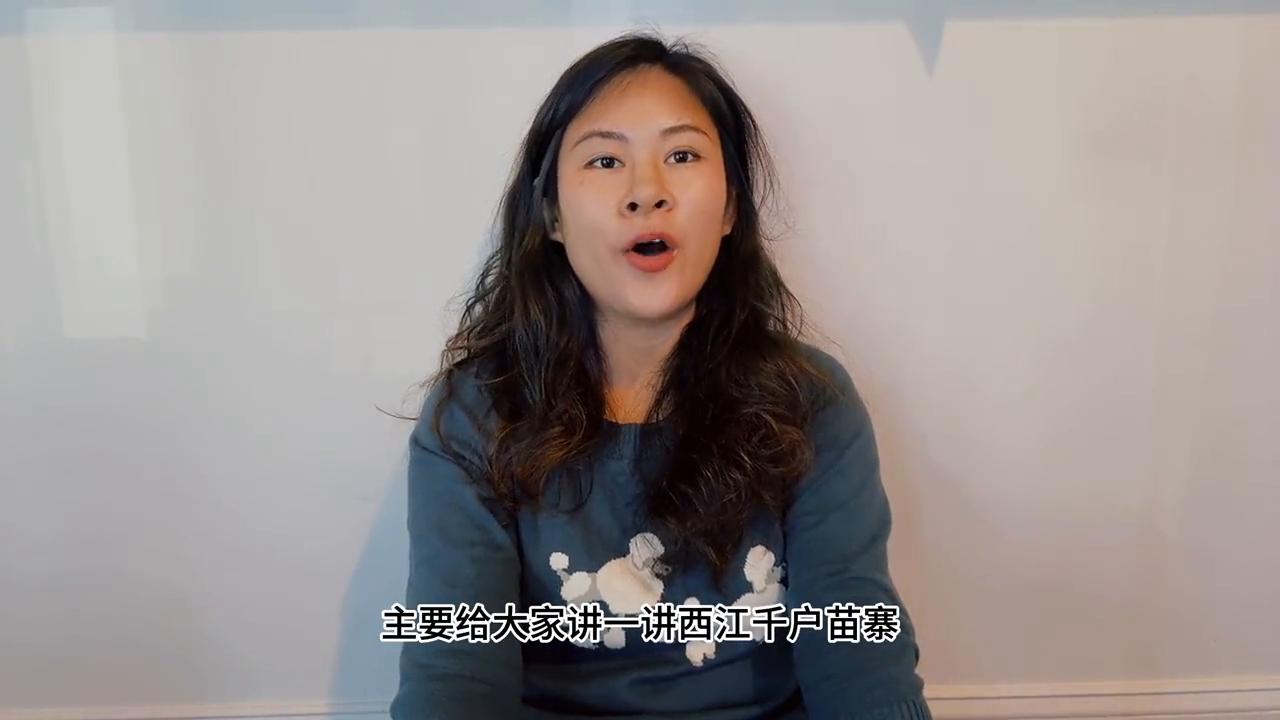 西江千户苗寨真的好独特,西江千户苗寨真不值得一去吗