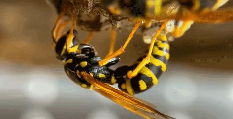 在卧室造一片弱肉强食的危险雨林，会打雷还真的会下雨