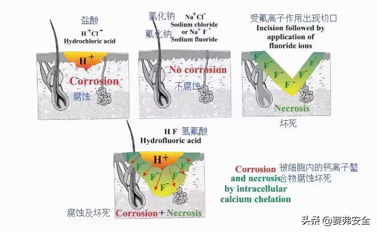 氢氟酸大量泄露，实验室更应防微杜渐