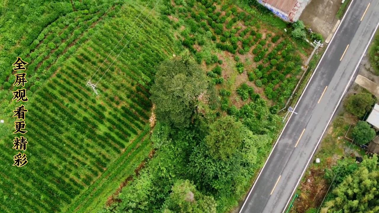 无人机不会操作会不会飞丢,无人机起飞后会偏移怎么办