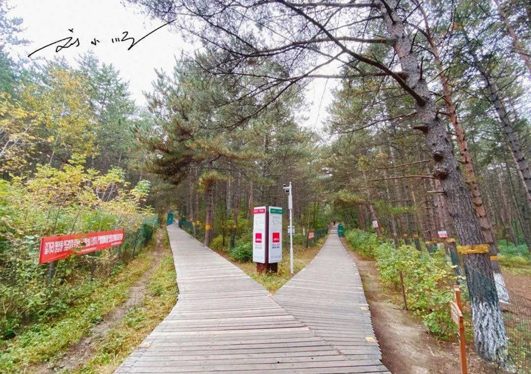 延吉的免费小众景点,游览延吉视频