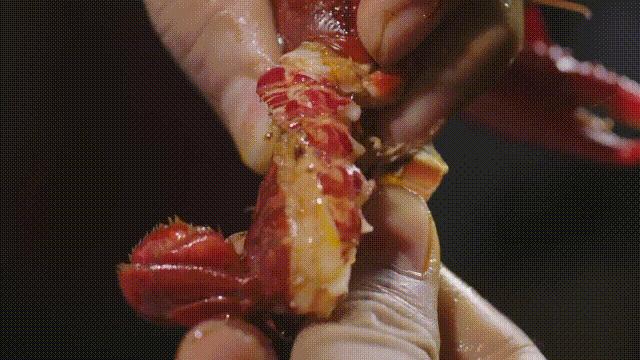 龙虾青龙和花龙区别,龙虾也是生物为什么我们要吃它