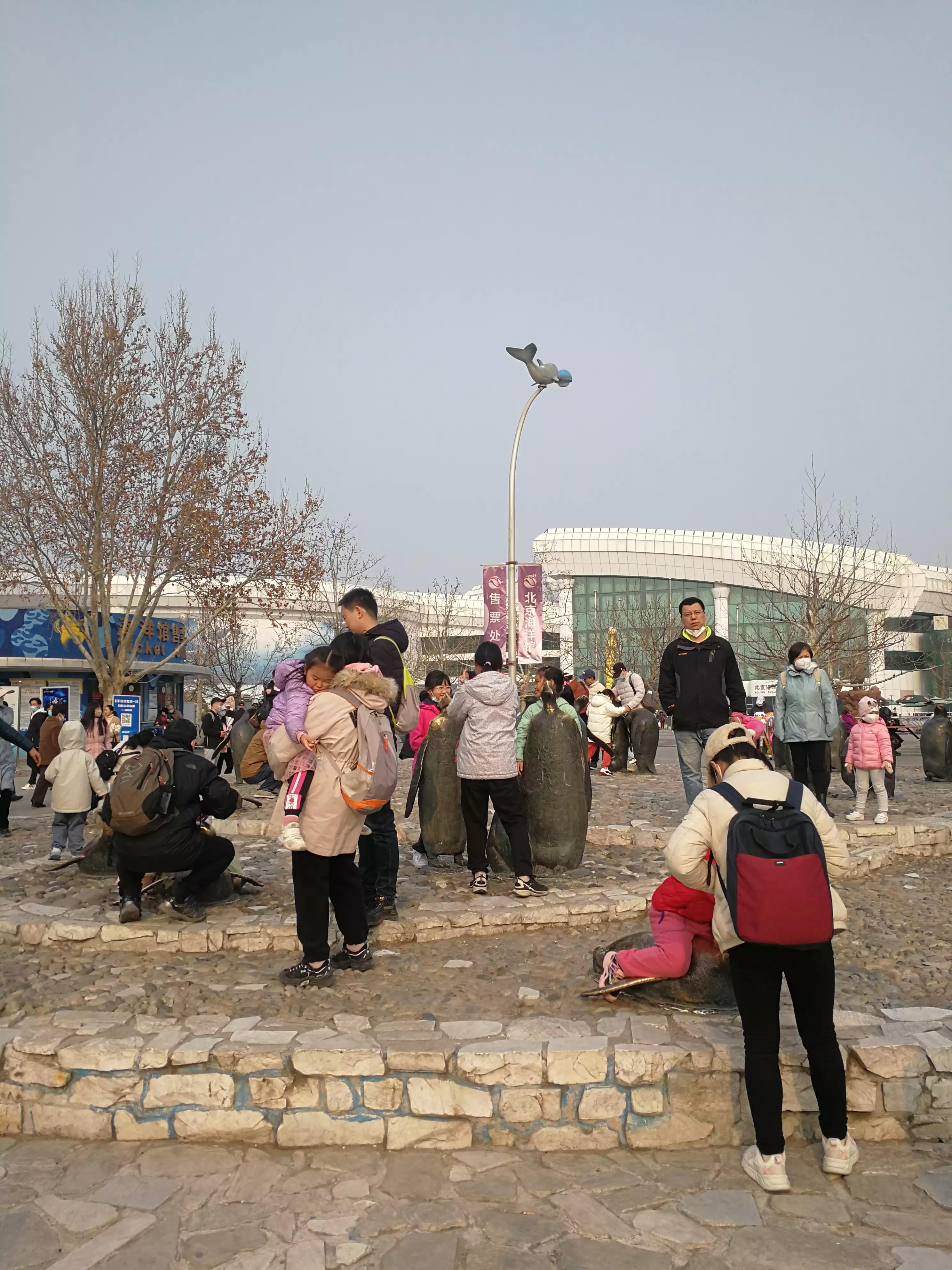 七月份的北京动物园人多吗,北京野生动物园二月动物多吗