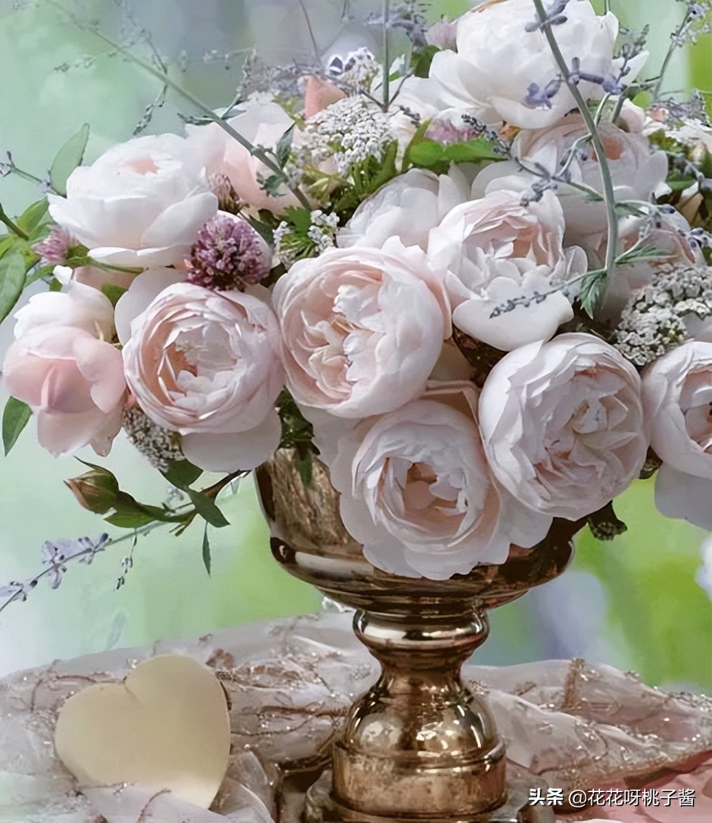 花期特别短暂开放好看的粉色月季,粉色可爱融化你的少女心月季