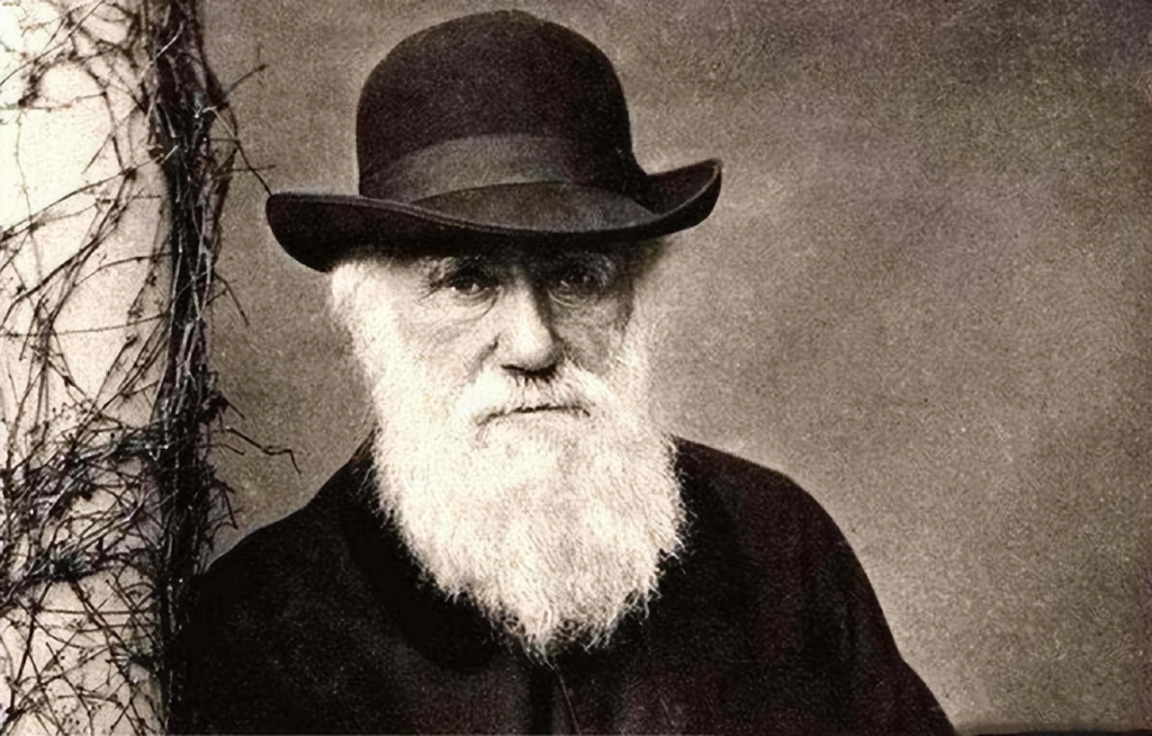 老虎狮子为什么可以杂交,为什么狮子和老虎能杂交