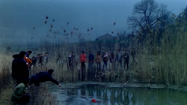 极花主要讲了什么,极花讲的是什么