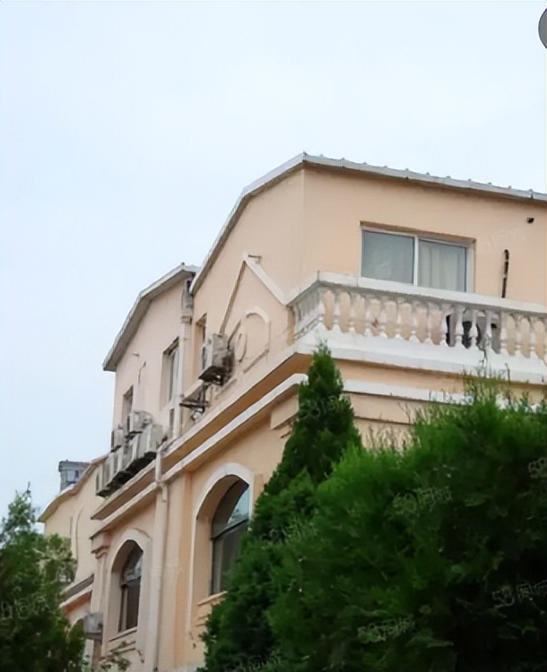 公然挑衅刀郎，机场怒踹粉丝，歌坛“一姐”那英究竟凭啥这么狂？