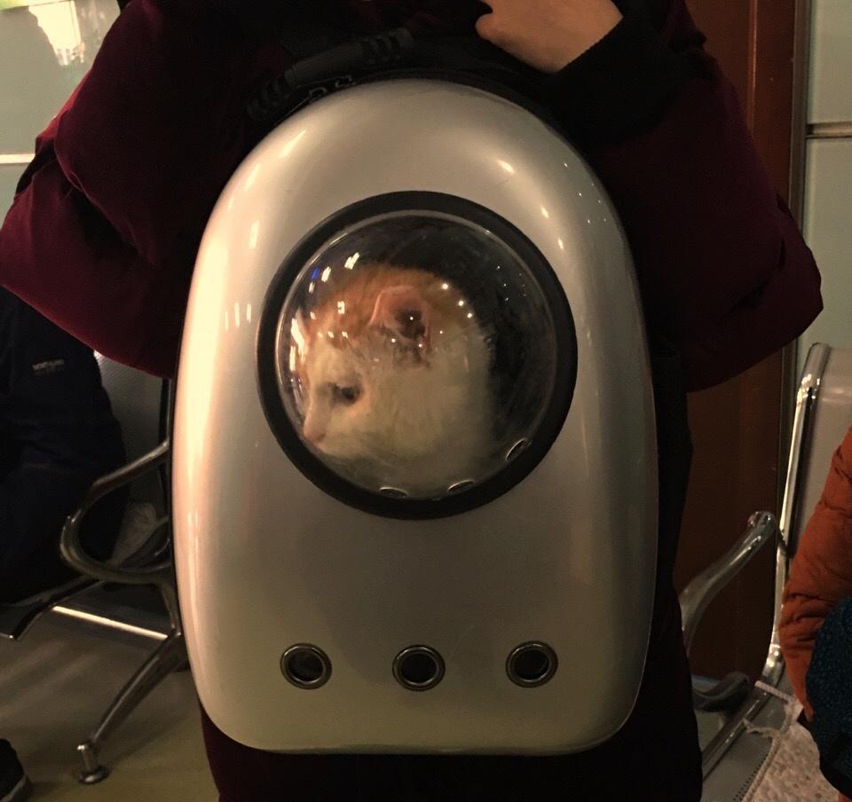 花楼女子媚态撩人,丰乳肥臀,30张真实影像惊艳时光