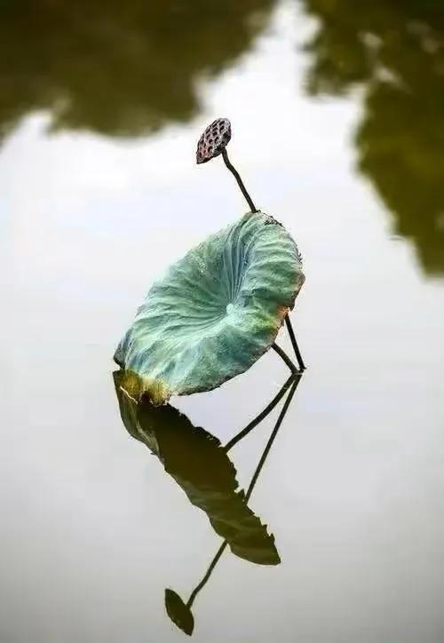 窗外的风景春夏秋冬,窗外景物春夏秋冬