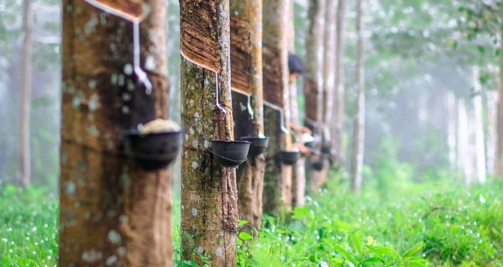 韩国的公司裁员,韩国公司裁员