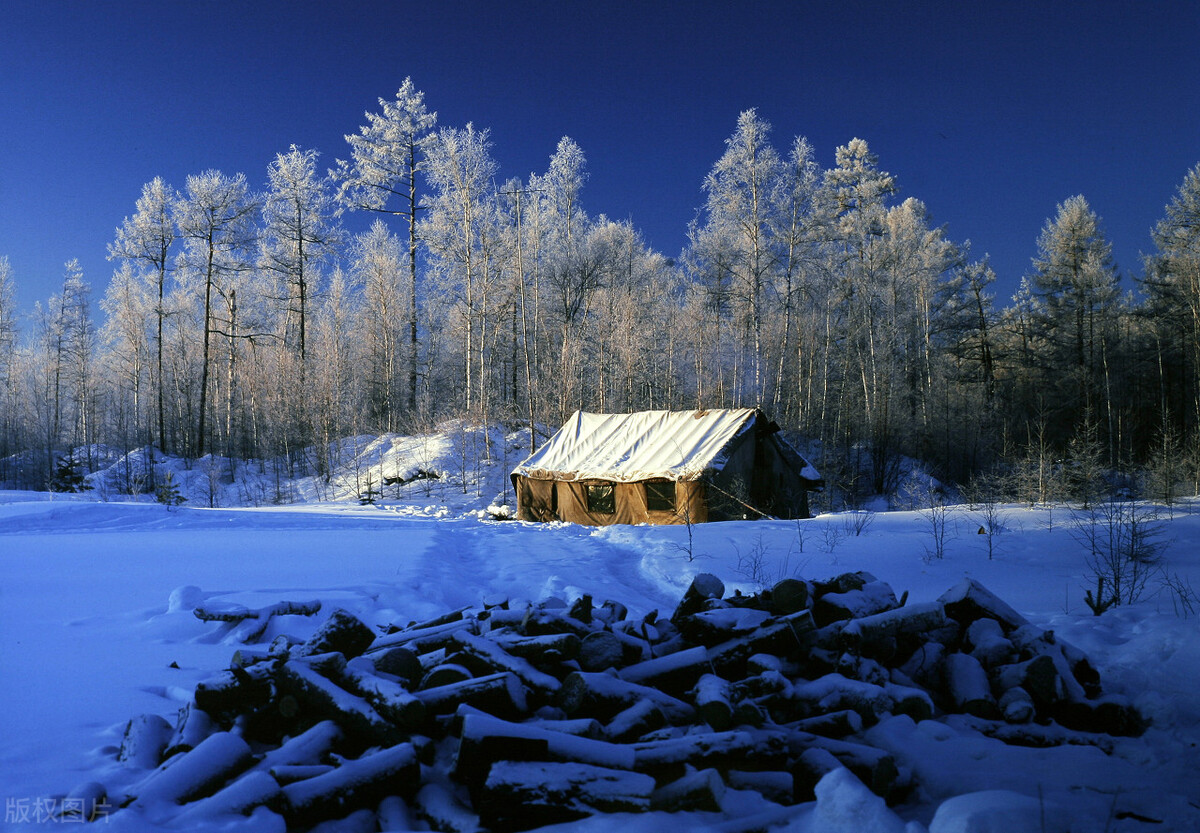 有关冬天的诗句带冬,关于冬天的诗和句子