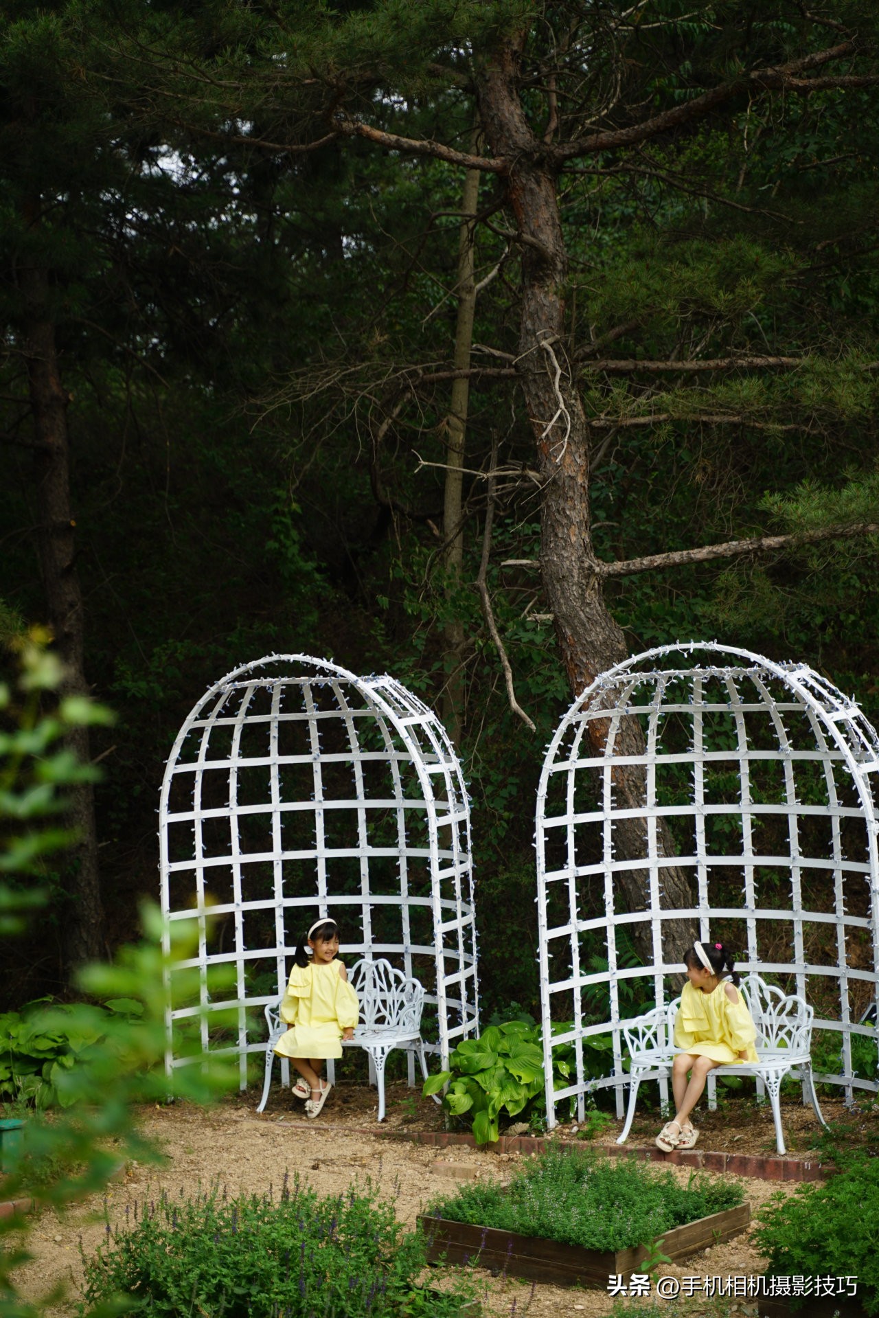 怎么拍出来有夏天感觉的照片,夏天这样拍照让你的照片美十倍