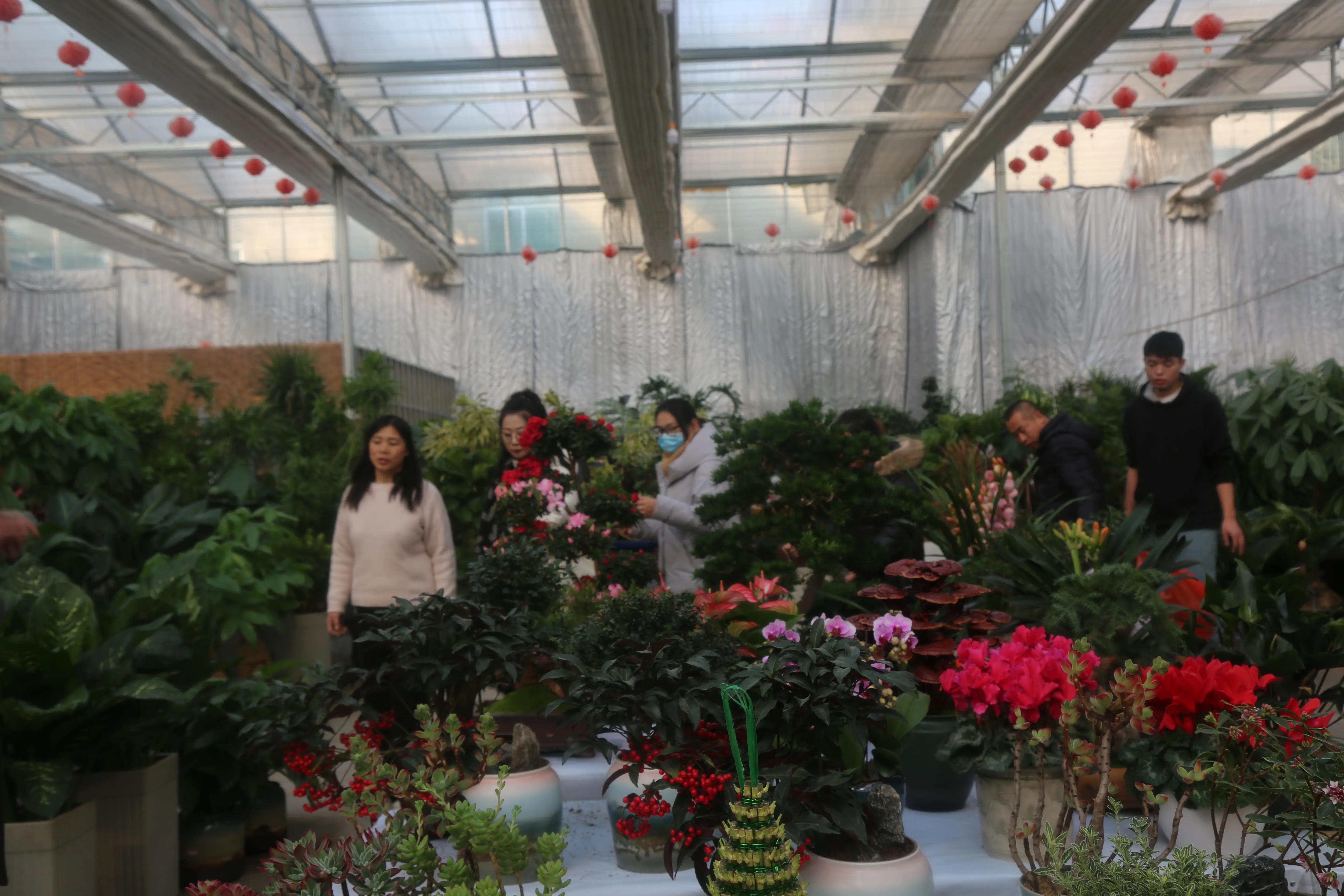 山西省最大的花卉市场在哪里,山西最大的花卉批发市场联系电话