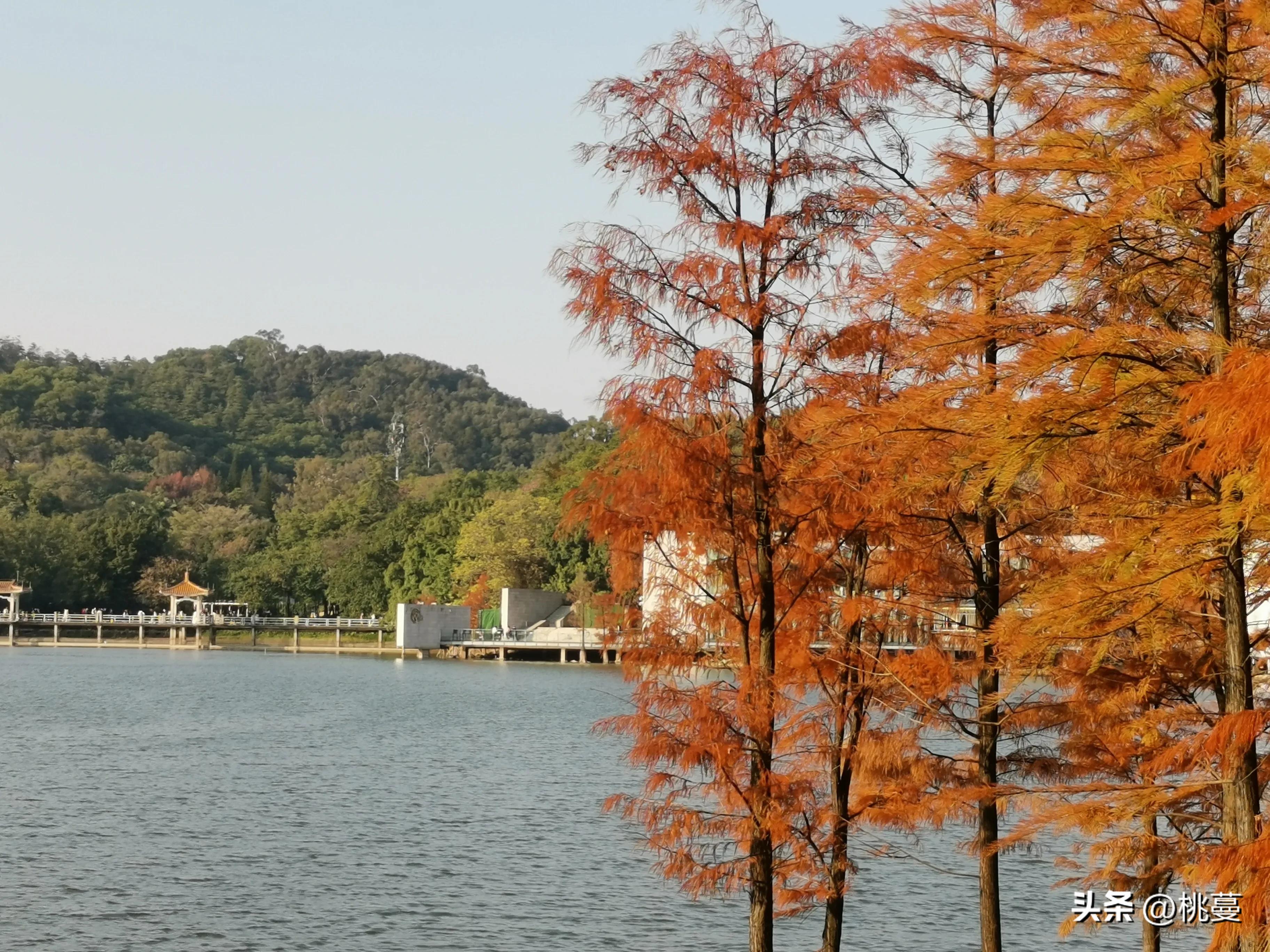 请不要再哄抢医疗物资了，把它们留给最需要的人