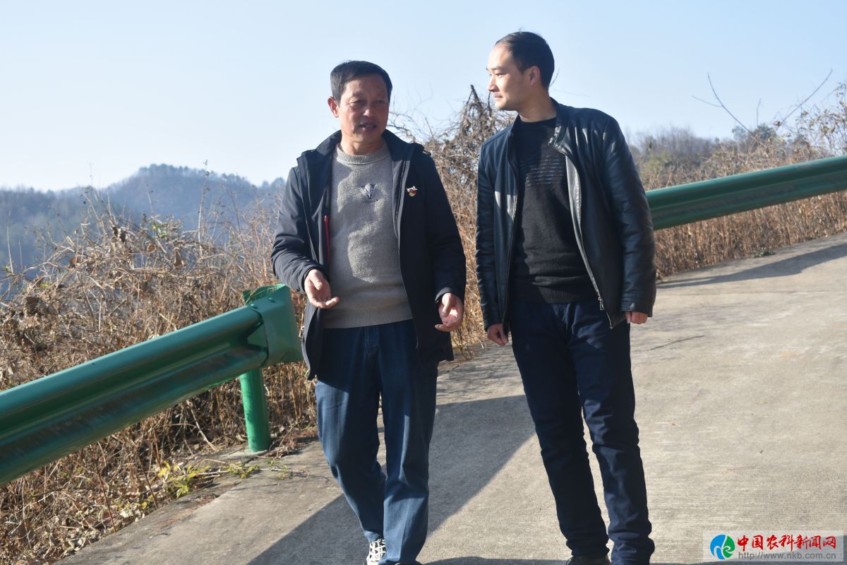 带领村民致富的好支书,好支书助农增收