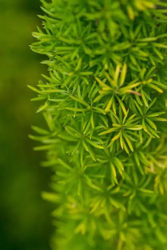 宾得新款16-50评测,宾得镜头18-135样片测评