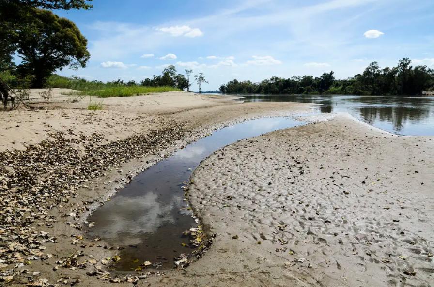 海滩撸铁,在海滩中撸铁棒赚钱
