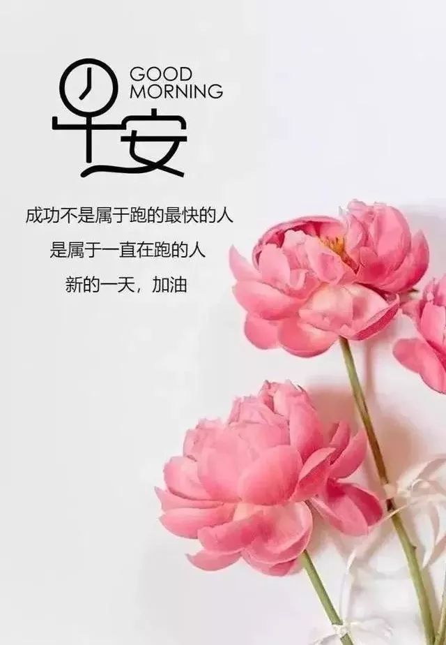 早安语录简短精辟带图,2018早安心语励志简短语录图片