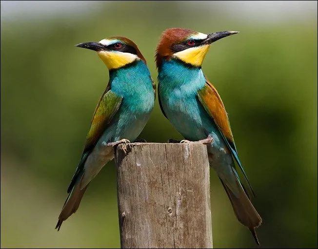 100幅经典摄影作品欣赏,100幅精品摄影图