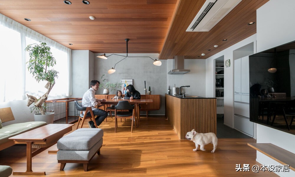 日本妈妈三口之家的极简家居生活,日本家庭一尘不染