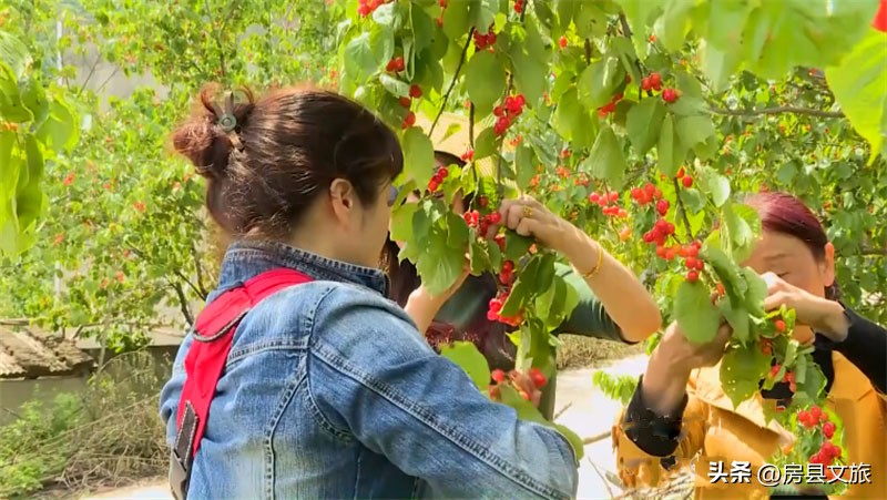 房县特色菜有哪些,舌尖上的美食房县