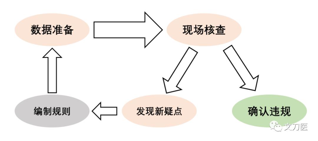 飞行检查与专项检查,飞行检查