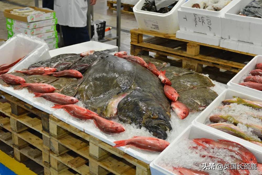 在英国怎么在网上买东西,英国海鲜刺身哪里买