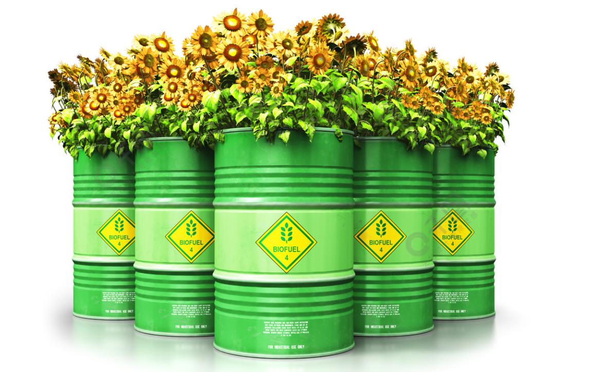 直喷式柴油机燃用菜籽油生物柴油的试验研究