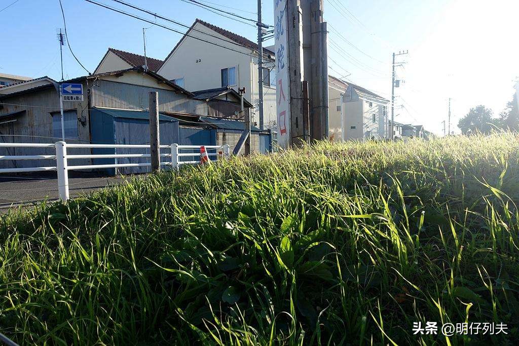 蜡笔小新一家终于还完32年房贷,蜡笔小新家房贷还清了