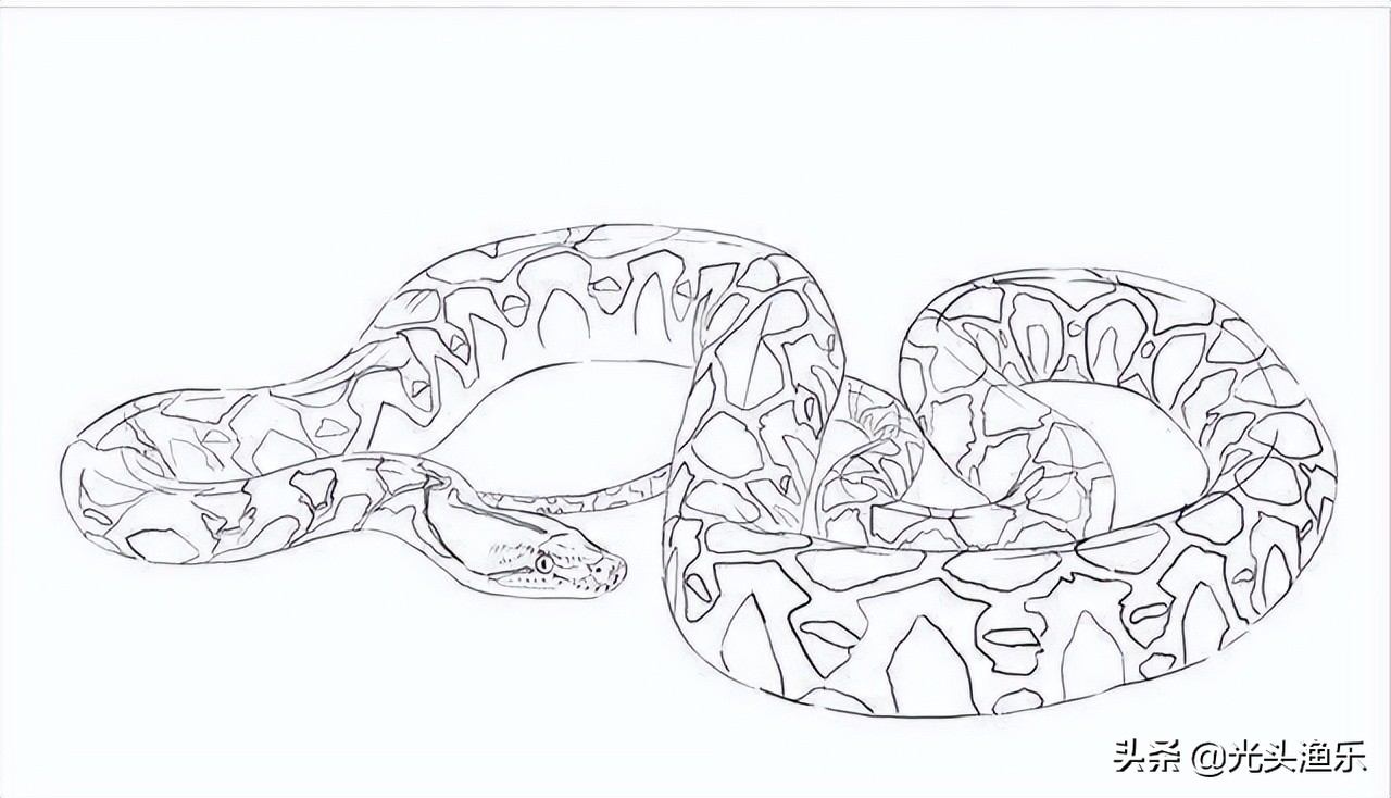 巨蛇为蟒巨蟒为蚺,大蛇为蟒大蟒为蚺什么意思