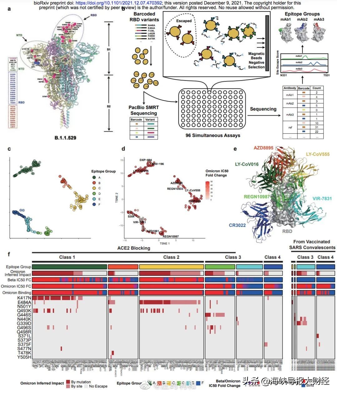 北大研究：奥密克戎撞翻全球五款抗体药，新上市特效药疗效大降？