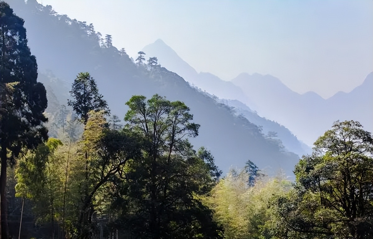 卖茶的文案精致高级感,卖茶爆款打动人心文案