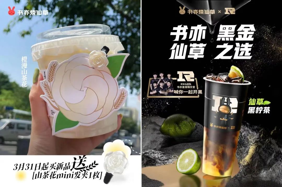 书亦新品最新消息,书亦新品发布会