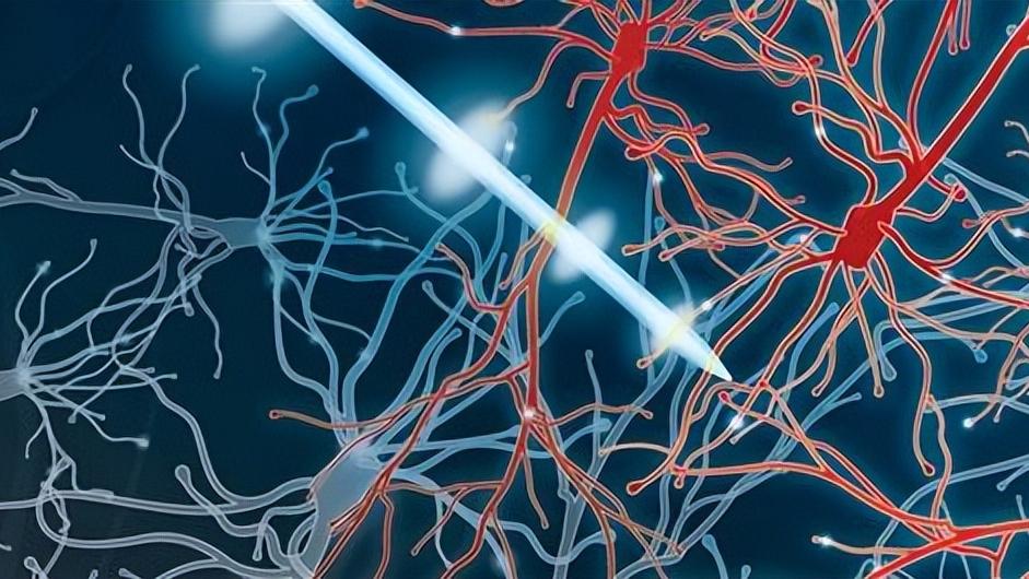 脊柱侧弯的成因、评估及康复