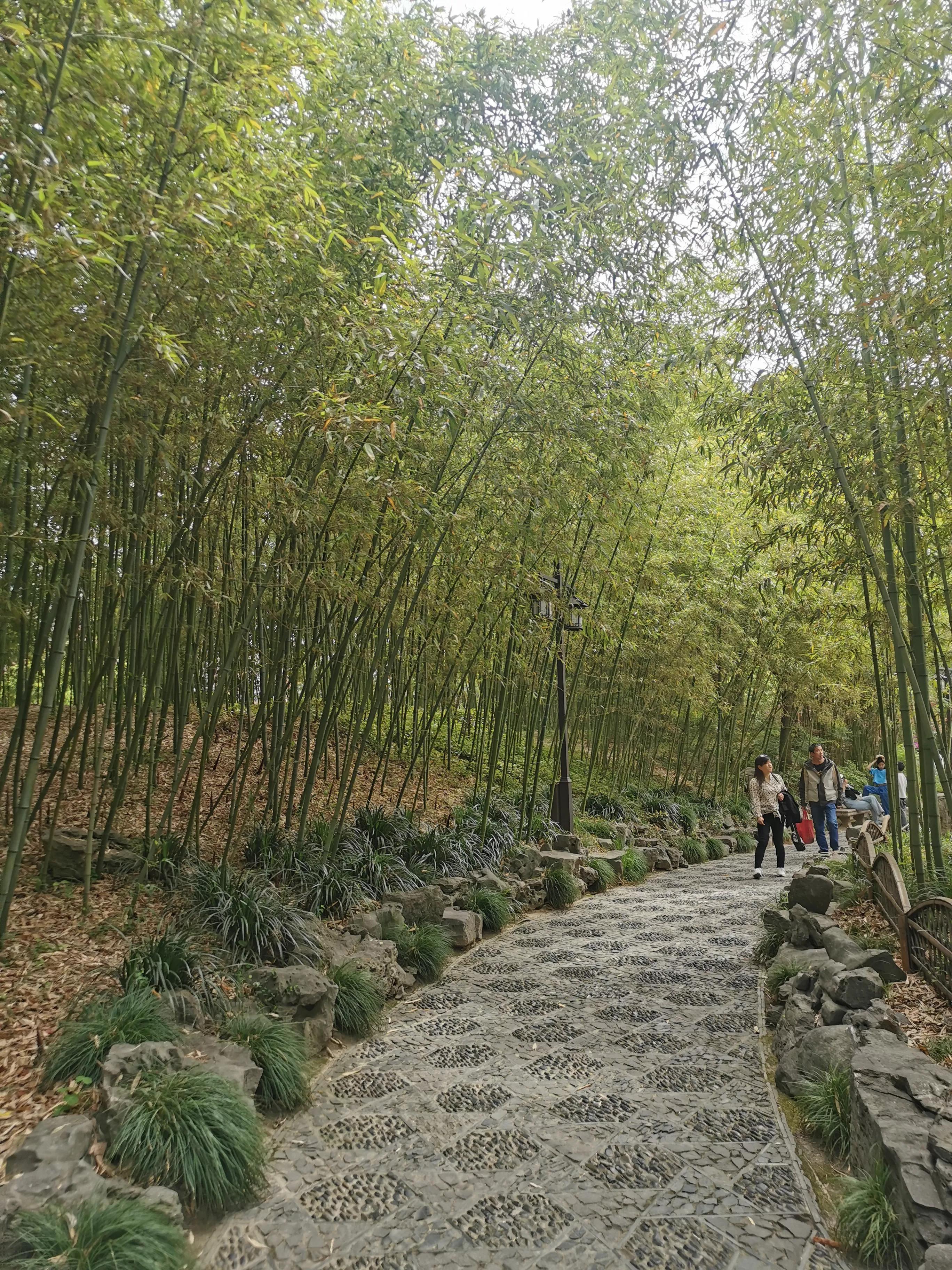 古猗园是上海五大园林之首,上海景区古猗园有哪些景点