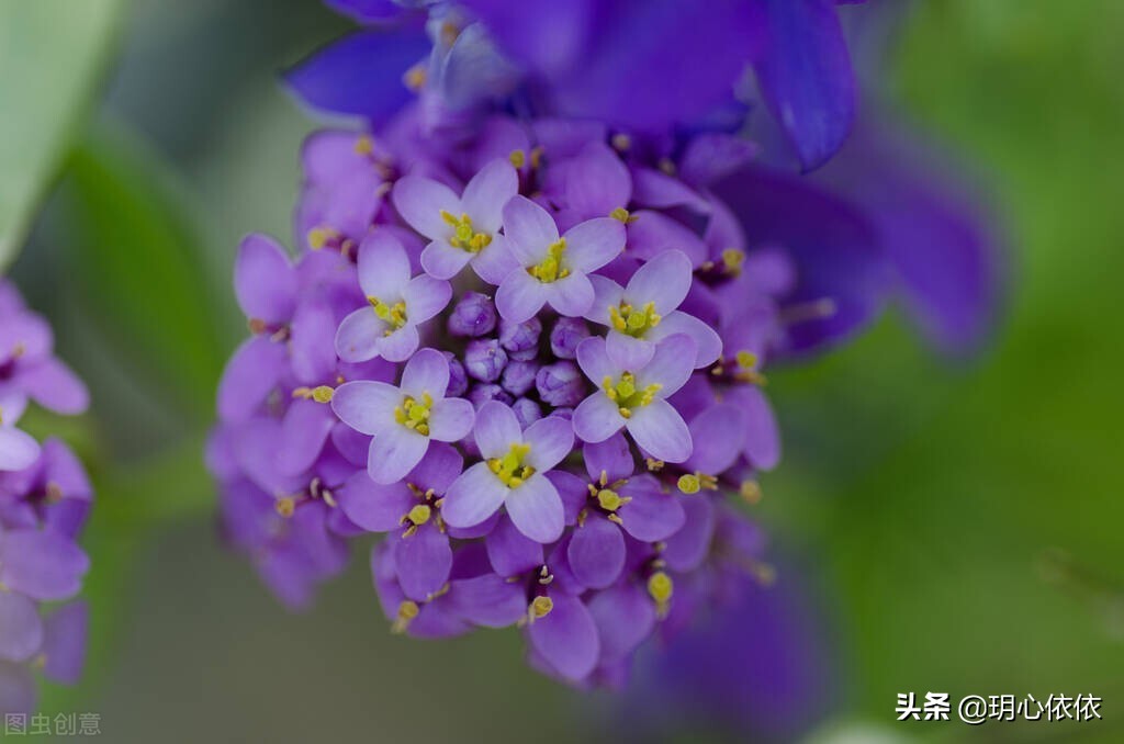 这些星座把自己活成财神爷，内心强大能力出众，心如真金光耀众生