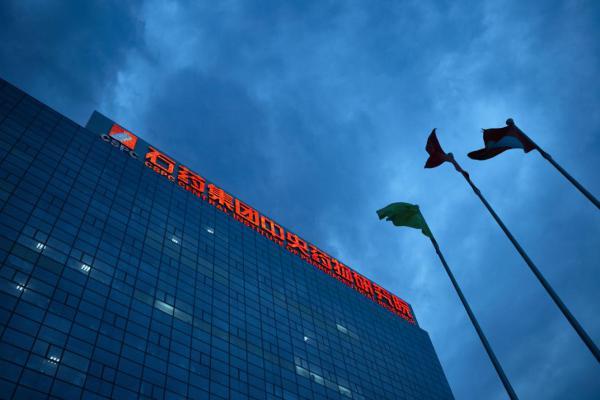 石药集团恩必普销售有限公司,石药集团恩必普销售