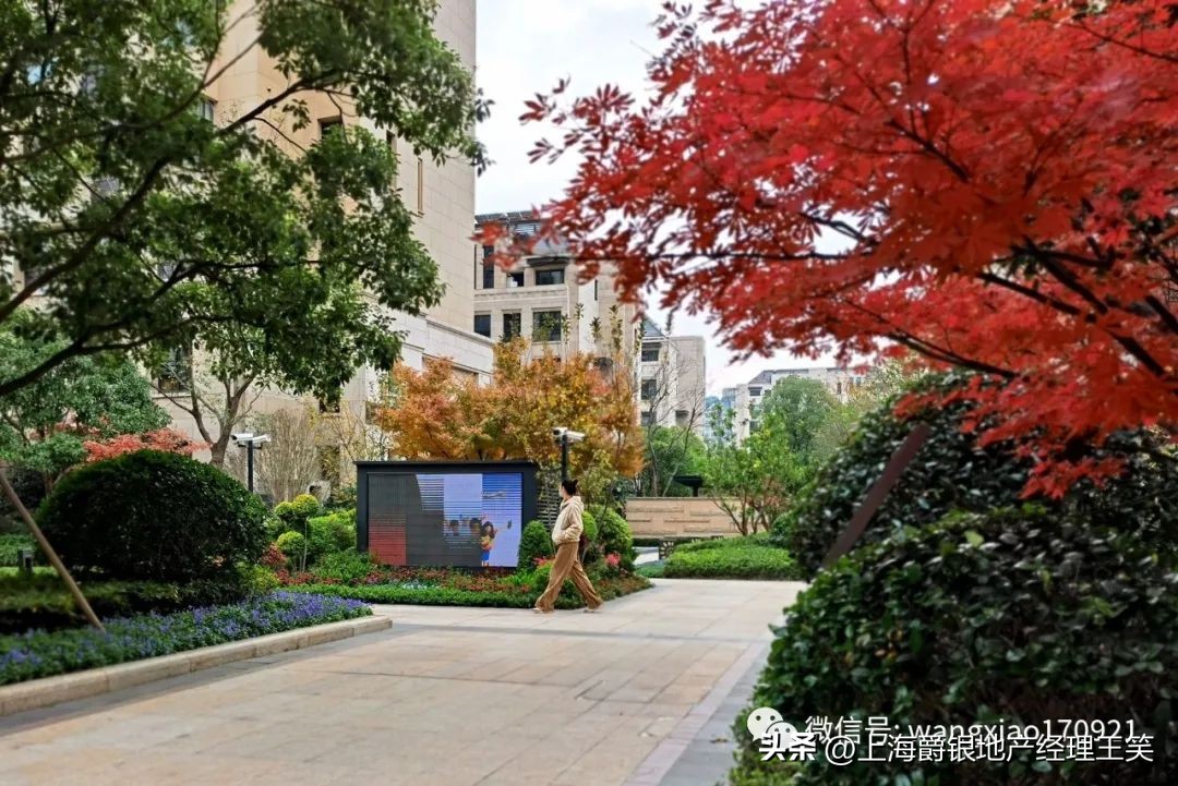 急急急！大华斐勒公园洋房！2388万！斐勒洋房最低价！装修最好！