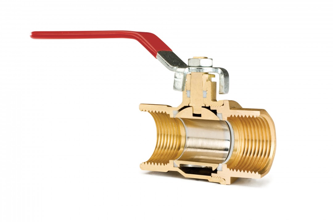 60样东西，切成一半，让你看得一清二楚