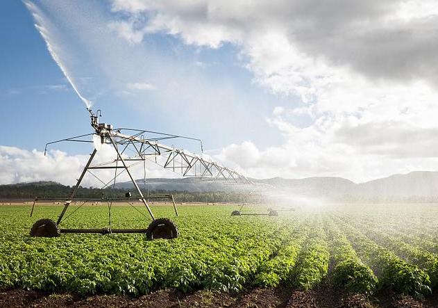 农业技术进步的现状思考与对策,农业科技发展现状和趋势