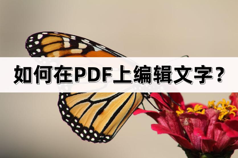 如何在PDF上编辑文字？简单介绍编辑方法