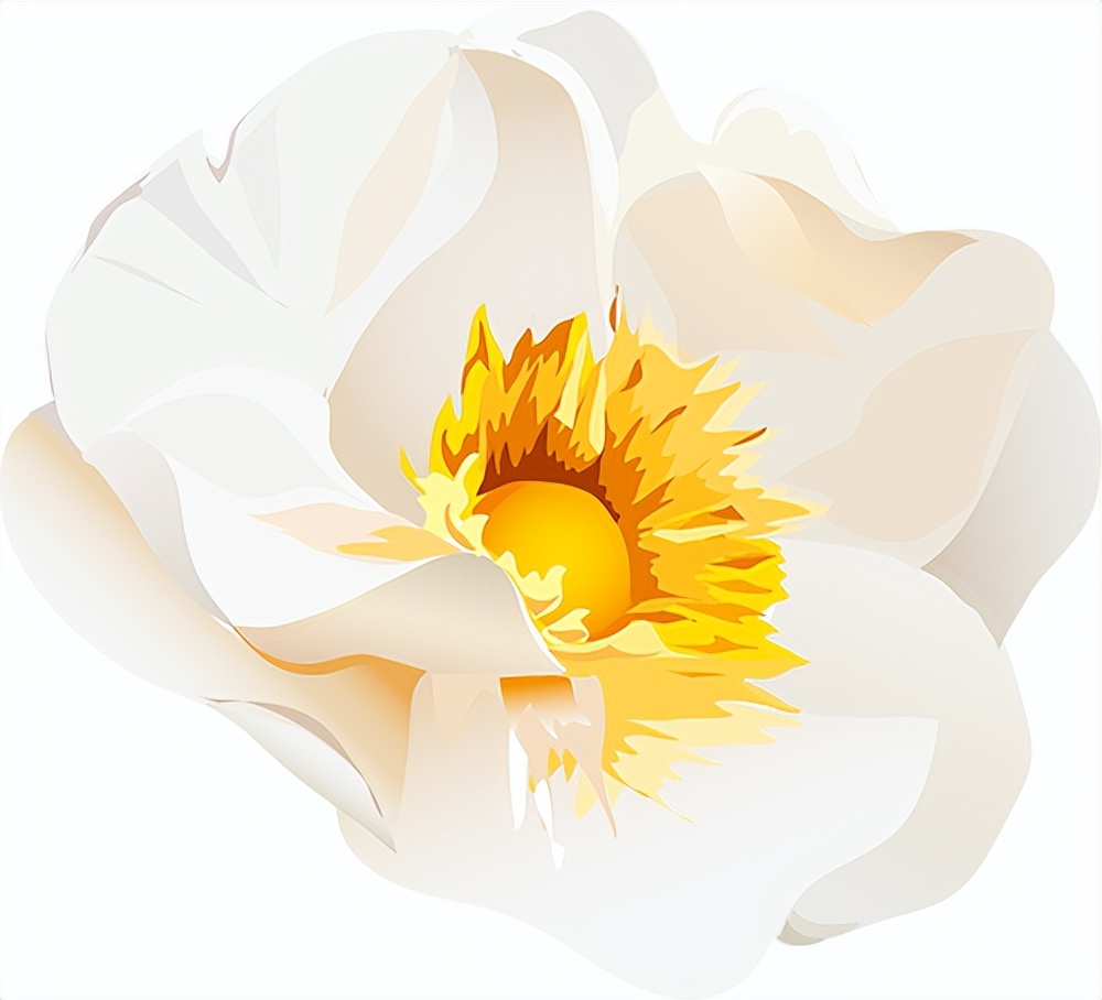 定了！免费！赶紧预约→