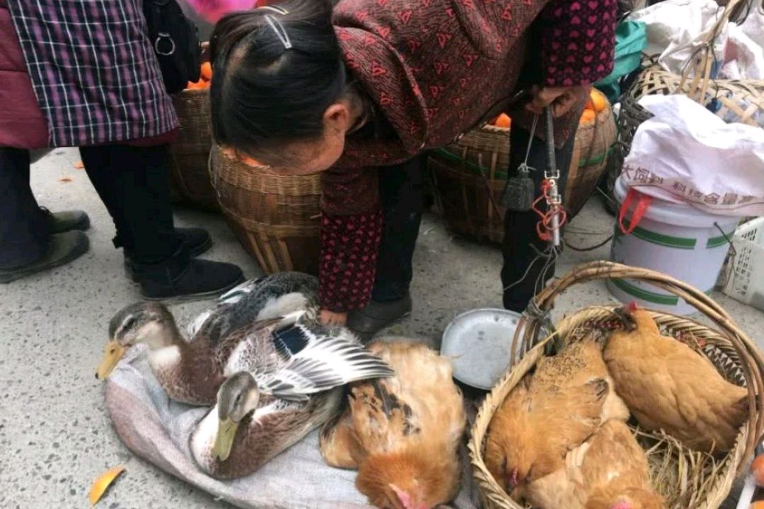 农村大集上三样东西千万别买,农村集市这三样东西不要买