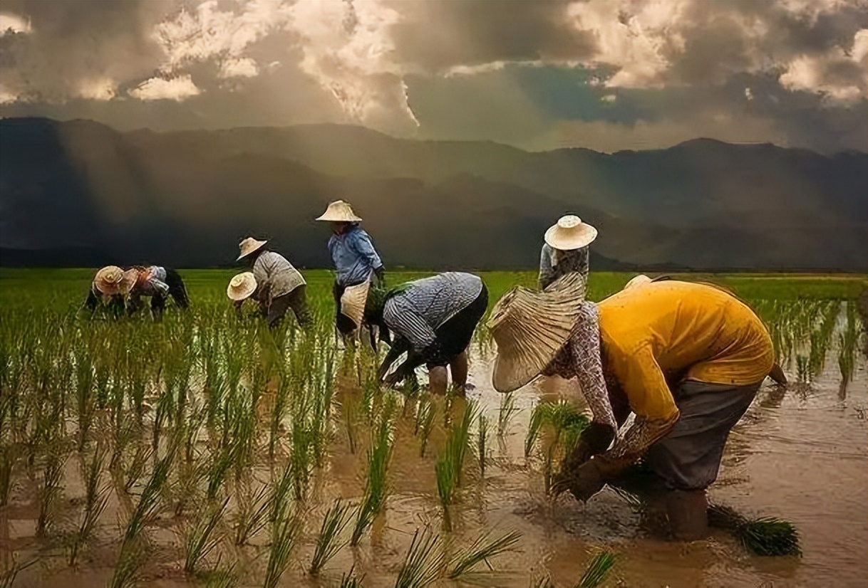 勤劳能致富吗视频,勤劳不能致富聪明才能致富
