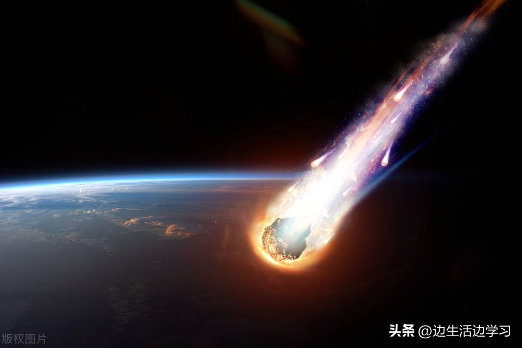 万物皆有灵狗会说人话您听说过吗,万物皆有灵性狗子