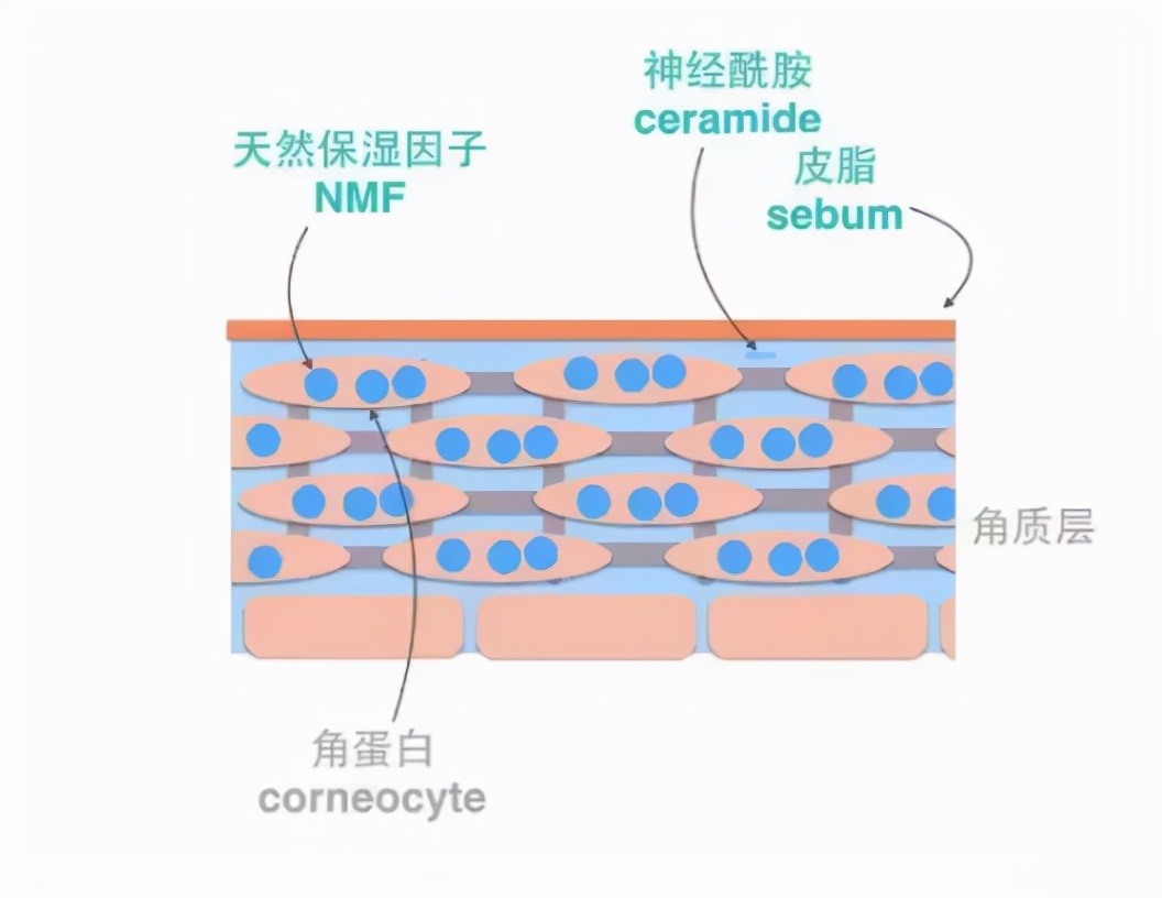 用护肤品感觉刺痛是缺水吗,护肤时刺痛是皮肤缺水吗
