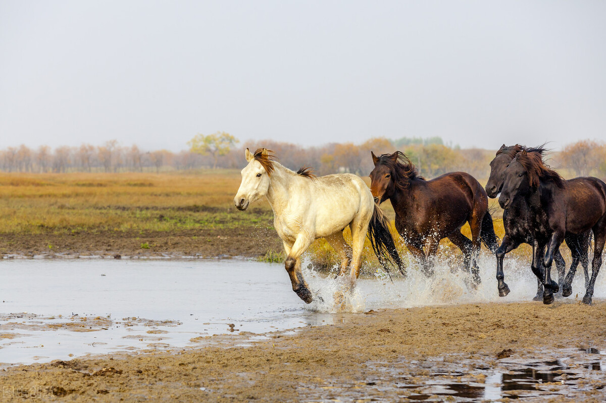 |相聚诗词温暖阁|于金奎王维峰龙修德邢龙李振环姜满成郝建国之诗