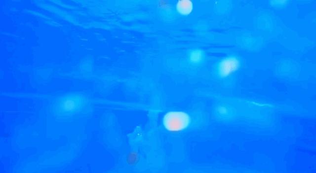 全红婵奥运夺冠完整视频回放,小炸毛女孩全红婵第一次夺冠