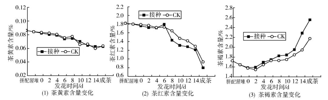 安化黑茶的技术优势,刘仲华院士讲黑茶九大功效